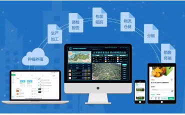 水果網(wǎng)紅避雷指南，“橙”心“橙”意做溯源